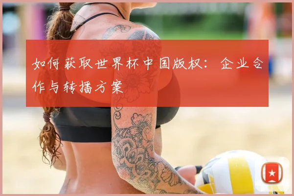 如何获取世界杯中国版权:企业合作与转播方案