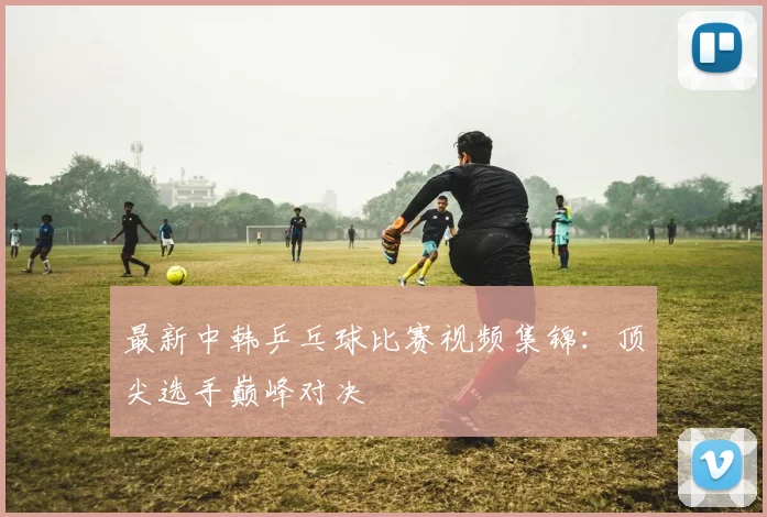 最新中韩乒乓球比赛视频集锦：顶尖选手巅峰对决